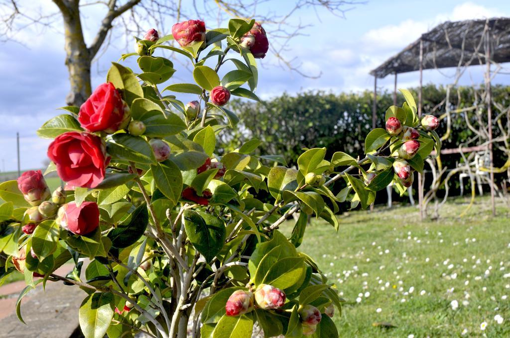 Podere Lornanino Bed & Breakfast Monteriggioni Exterior foto